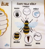 Deň
